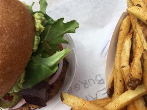 Vegan burger and fries at Earth Burgers - Food Cart in Portland