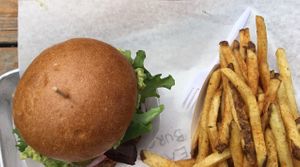 Burger and handcut seasoned fries at Earth Burgers - Food Cart in Portland