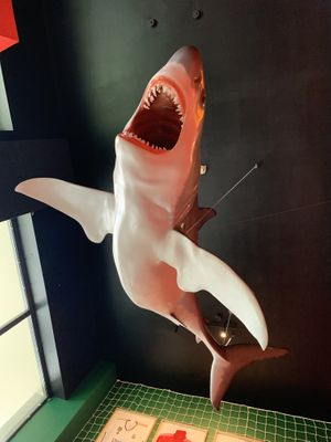 Ceiling shark  at Token in Dublin