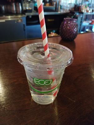 Take Out Cup: Biodegradable Plant Plastics with Paper Straw at Eloise in El Paso