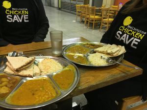 Thalis all round! at Om Vegetarian - Capitol Arcade in Melbourne