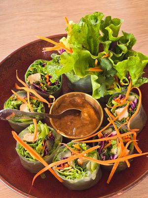 Fresh Spring Rolls at Nua Thai Cuisine in Roseville