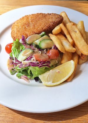 Vegan schnitzel, chips & salad at Bundaberg Social Club in Bundaberg