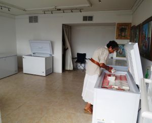 Several freedges un the shop. at Opcion Vegetal in Madrid