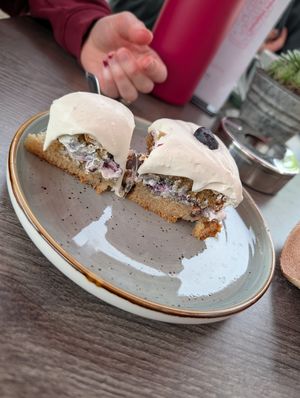 Veganer Kuchen mit Blaubeeten und veganer Sahne at KutscherHus in Waldeck