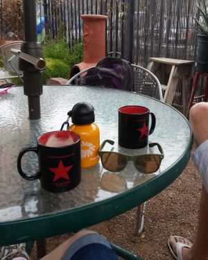 Coffee garden! at Revolutionary Grounds in Tucson