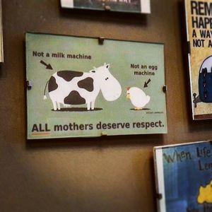 Vegan wall at VegaVerso in Leuven