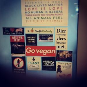 Go vegan at VegaVerso in Leuven