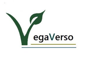 vegaverso at VegaVerso in Leuven