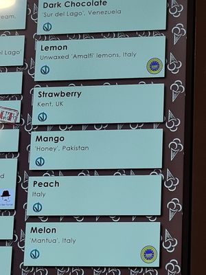 Vegan flavour options at Gelato Village in Leicester
