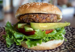 Home-made vegan burger at Finca Ganadito in Costa Rica at Unruly Travel Group Trips - Montreal in Montreal