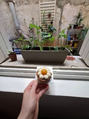  at Perle en Sucre in Montpellier