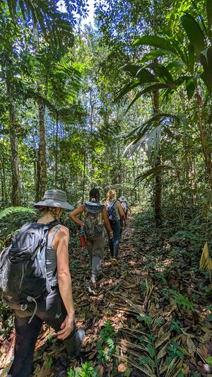 Amazon Rainforest hike in Peru at Unruly Travel Group Trips - Berlin in Berlin
