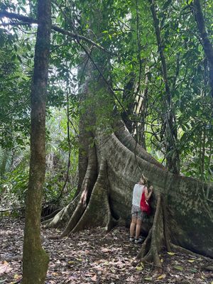 Connecting with old growth in Costa Rica at Unruly Travel Group Trips - Berlin in Berlin