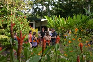 Medicinal plant tour at Finca Ganadito in Costa Rica at Unruly Travel Group Trips - Berlin in Berlin