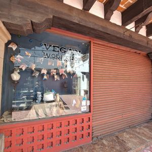 Cerrado at Vegan Workshop in Tijuana