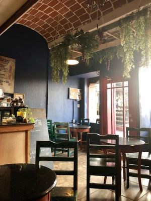 Inside at Vegan Workshop in Tijuana