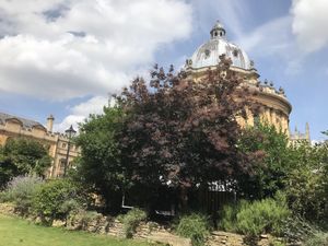 View of the Radcliffe Camera from the garden at Vault & Garden, Oxford at Vaults and Garden in Oxford