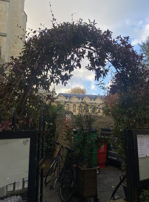   at Vaults and Garden in Oxford