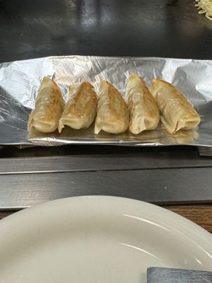 Vegan Gyoza   at Nagataya in Hiroshima
