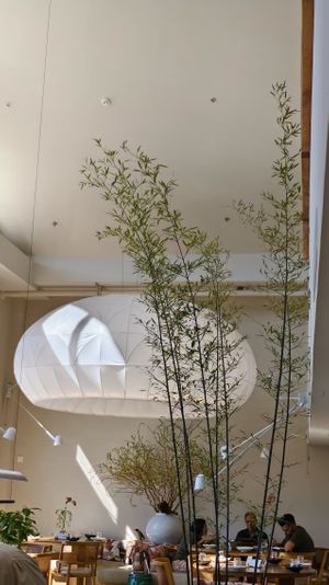 The interior design is artistic and stylish, with an Eastern aesthetic.
设计艺术时尚具有东方美学风格。  at Yunting - 昀庭中餐厅 in Beijing