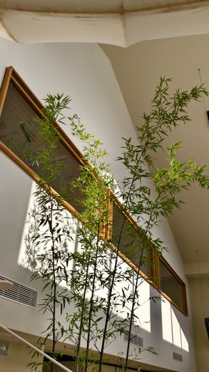  at Yunting - 昀庭中餐厅 in Beijing