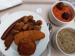 Mix of everything left plate. Lentil stew and kofta with millet both small on the right at Vega City in Budapest