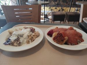 two dishes, on the left Dödelle (amazing!), on the right stuffed peppers with buckwheat (okay) at Vega City in Budapest