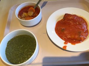 goulash soup, spinach stew and stuffed paprika at Vega City in Budapest