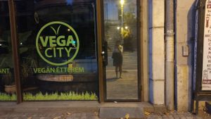  at Vega City in Budapest