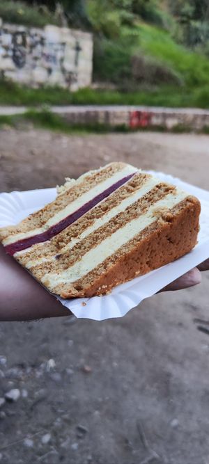  at Vega City in Budapest