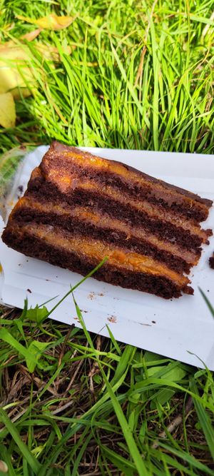  at Vega City in Budapest