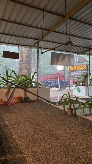 Next door ambiance is zen too. Jus  at Smile Cafe Auroville in Villupuram