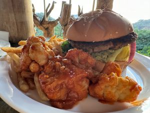 Plant based burger w/ cauliflower wings and french fries  at El Avion in Manuel Antonio