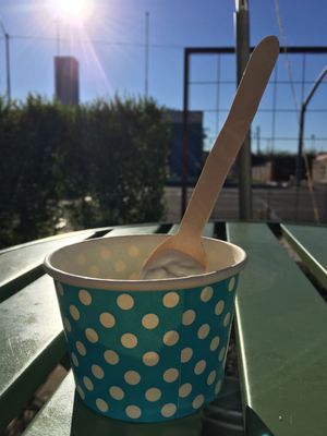 Vegan sorbet 🤤 at Urban Cookies Bakeshop in Phoenix