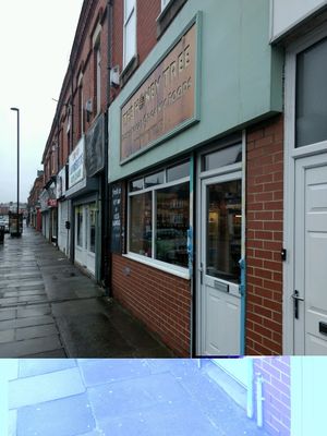 aye at The Honey Tree in Newcastle Upon Tyne