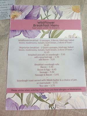  at Wildflower Café and Garden Centre in Swansea