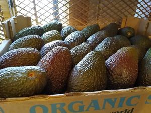  at Clare James in Kings Langley