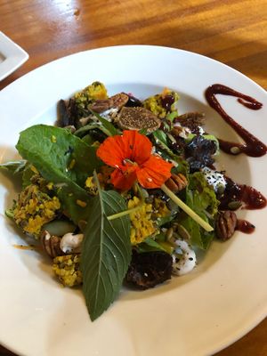 Wholesome house salad- vegan & gluten free  at Takaka Infusion in Takaka