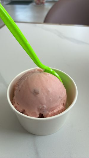 Ice cream   at Frozen Bloom Creamery & Coffee in Destin