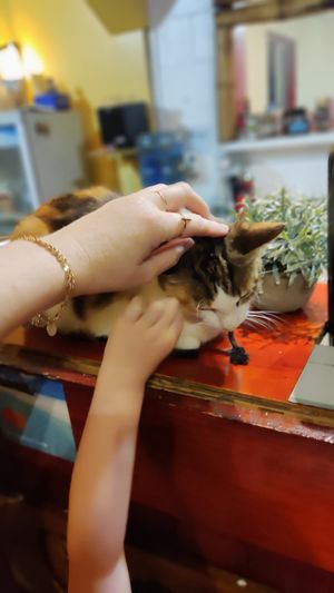  at The Rickshaw in Rarotonga