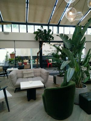 Interior  at Tanya's Cafe in South West London