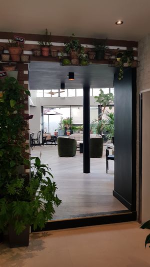 Seats at Tanya's Cafe in South West London