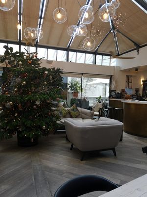 Café where you can eat at Tanya's Cafe in South West London