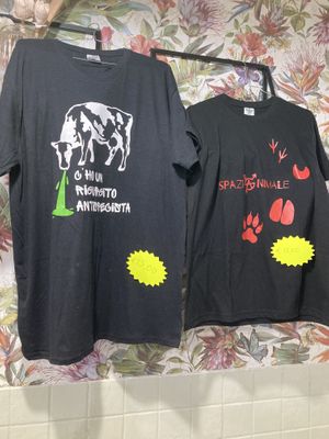   at 'O Grin in Naples