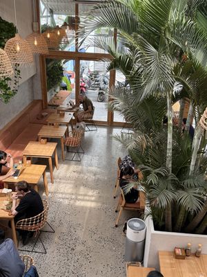 View from the 2nd floor  at Roots Plant-based Cafe - Hẻm 41 Xuan Thuy in Ho Chi Minh City