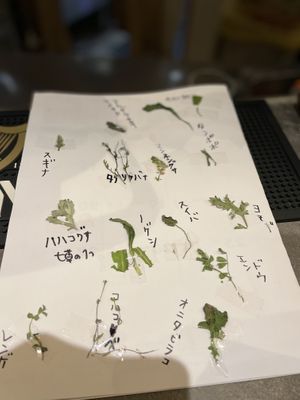 Wild seasonal herbs stuffed in dumplings  at Live and Lounge VIO in Nagoya