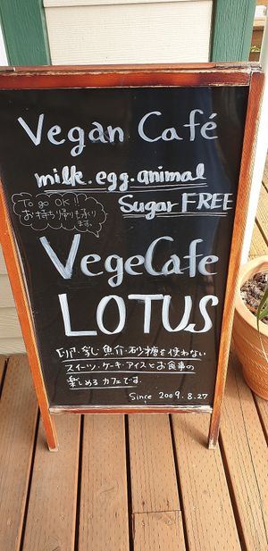 how inviting! at Vege Cafe Lotus in Toyohashi