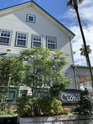 View from the south at Vege Cafe Lotus in Toyohashi