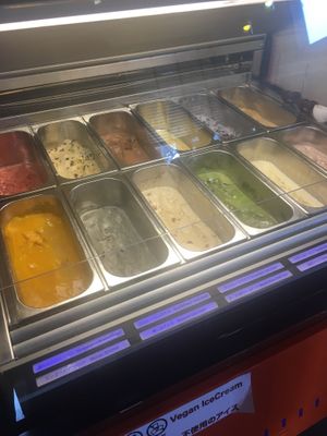 All vegan ice cream at Vege Cafe Lotus in Toyohashi
